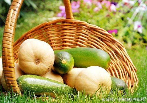 農(nóng)產(chǎn)品蔬菜品牌應具備的氣質(zhì)